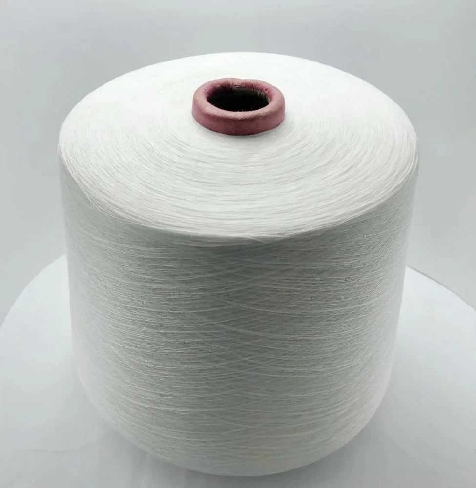 
Free sample New Arrival cotton Yarn 100 %Tencel Eco-Friendly For Knitting Sweaters 
