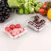 Disposable 250g plastic cherry packaging container tomato fruit box