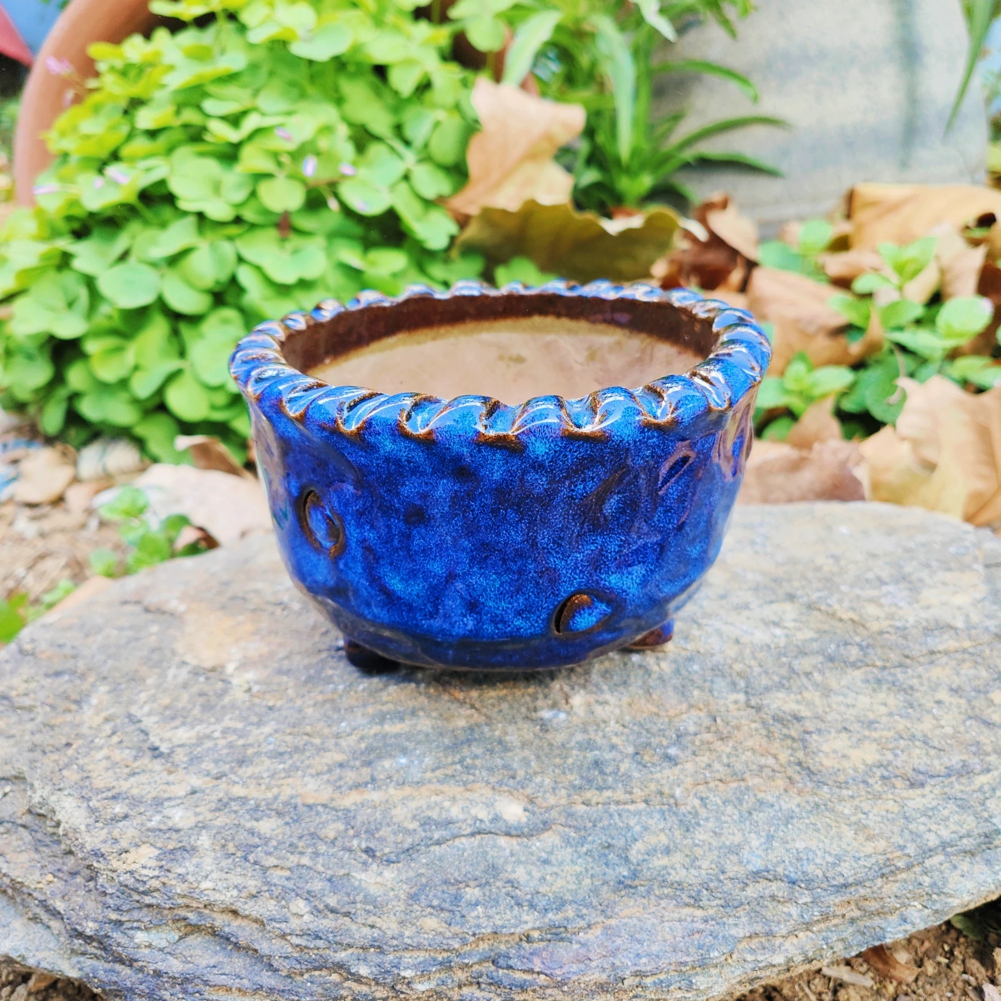 Custom Design Wholesale Ceramic Indoor Plant Pots Ceramic Succulents