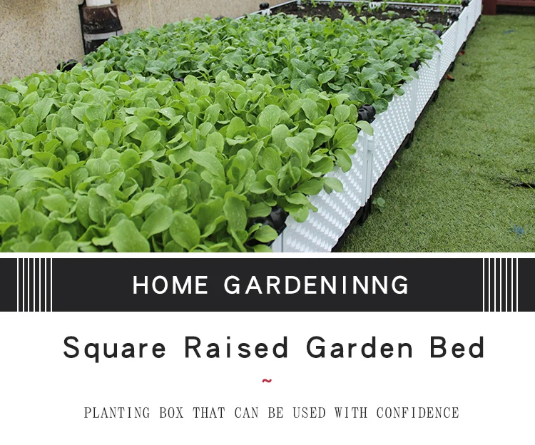 Bed Plant box (1).jpg