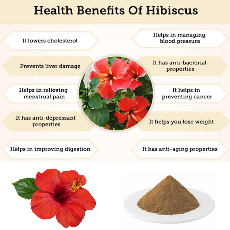 Price hibiscus share Hibiscus, Hardy