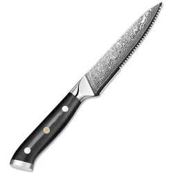 Premium 2021 Hot Selling 5 inch Damascus Kitchen Steak Knife set Serrated Blade with rivets handle Gift Box TL-DR01