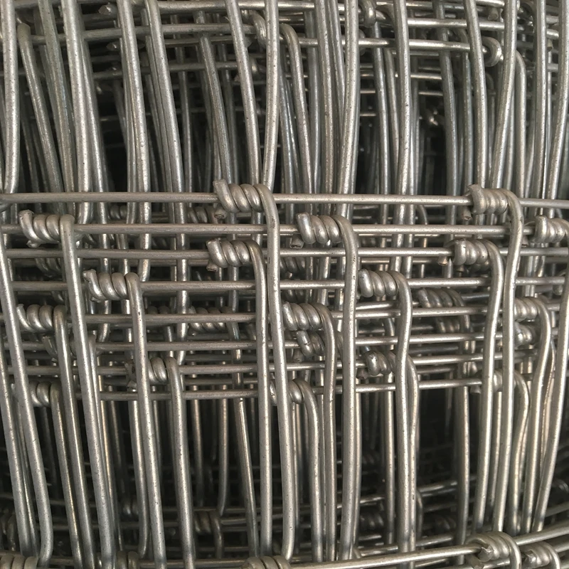 Hot Sell Galvanized Hinge Joint Field Woven Wire Prairie Fence Netting