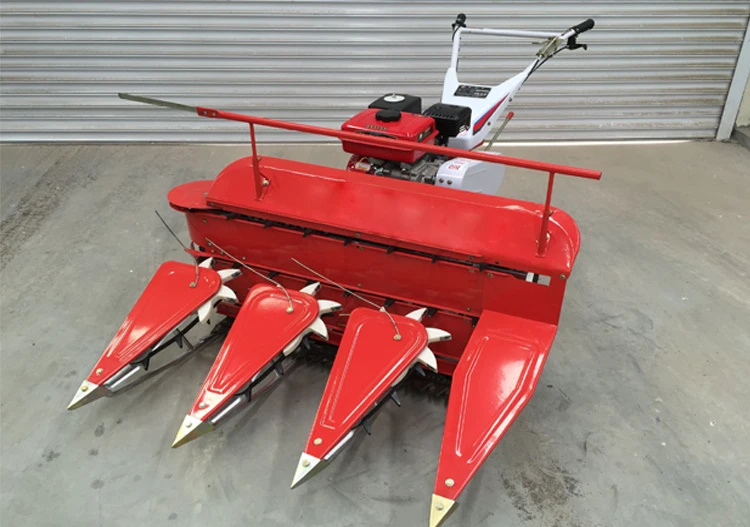 X-12.jpg