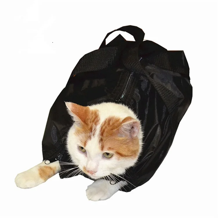 carry bag for kitten