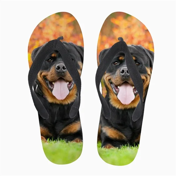 rottweiler puppies hawaii