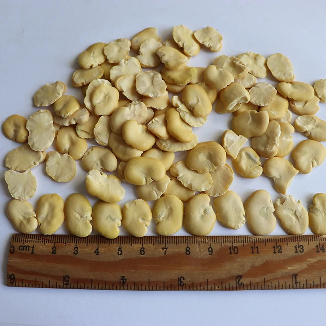 Dried broad beans splits