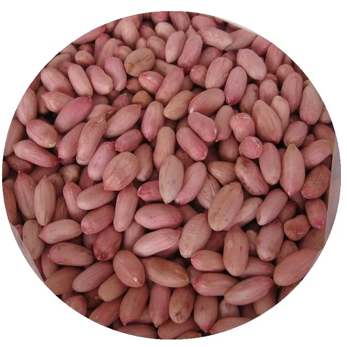 
High Grade Raw Peanuts kernels and Peanuts / Roasted Blanched Peanuts for sale 