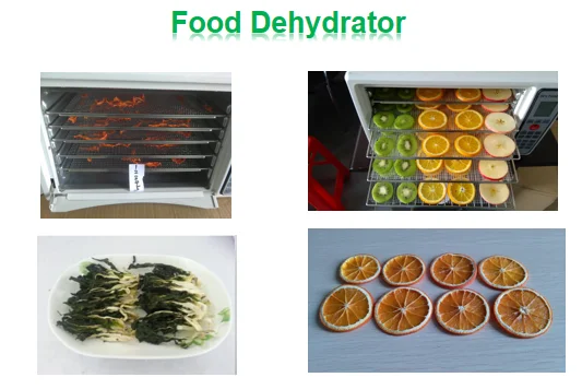 paste-pic-dp_uuid_6oymv