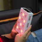 SGROW Newest Mini60 Handheld LED Red Light Therapy Panel With Timer Type-C Rechargeable