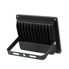 black light flood.jpg