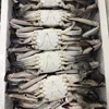 Wholesale Frozen Blue Swimming Crab