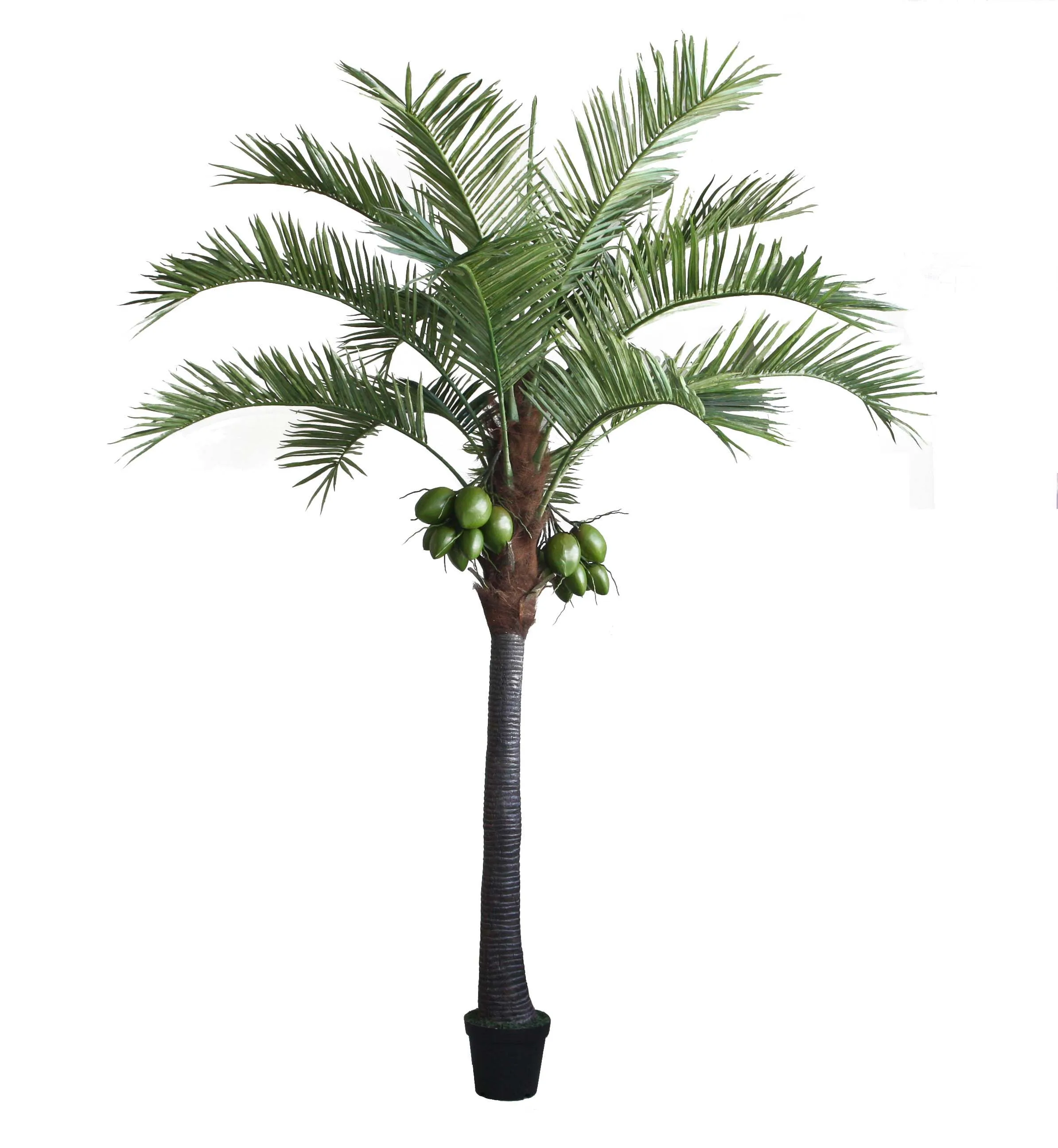 Large Outdoor Faux Project Tree Artificial Coconut Palm Alexandra Palm