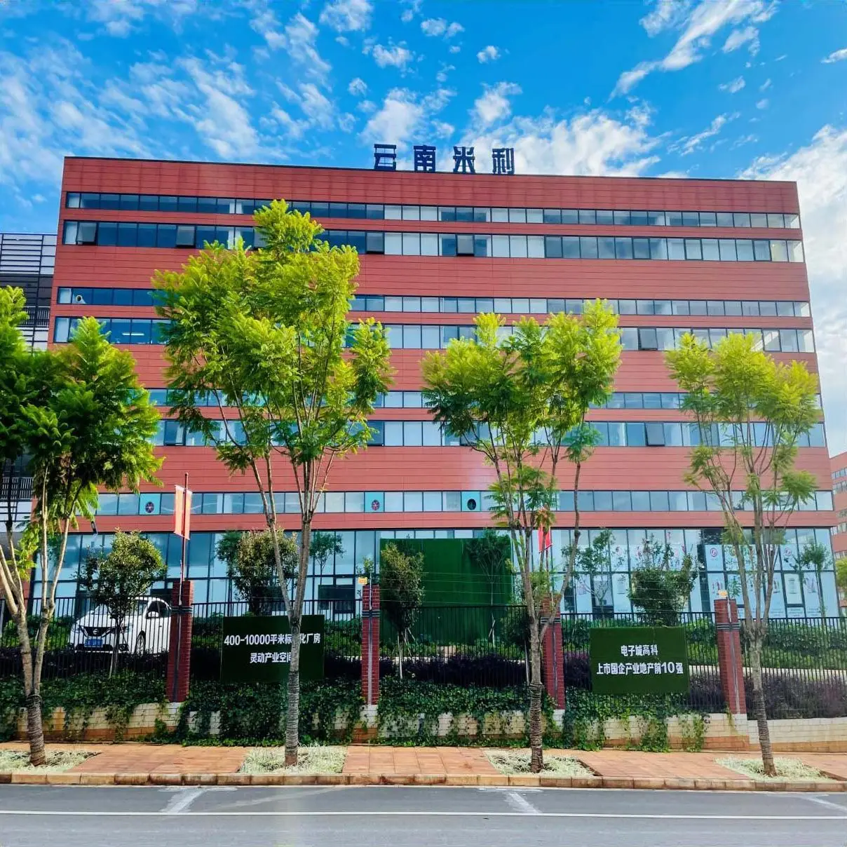 Natural Flavor Edible Flower Essence Honeysuckle Flower Concentrate