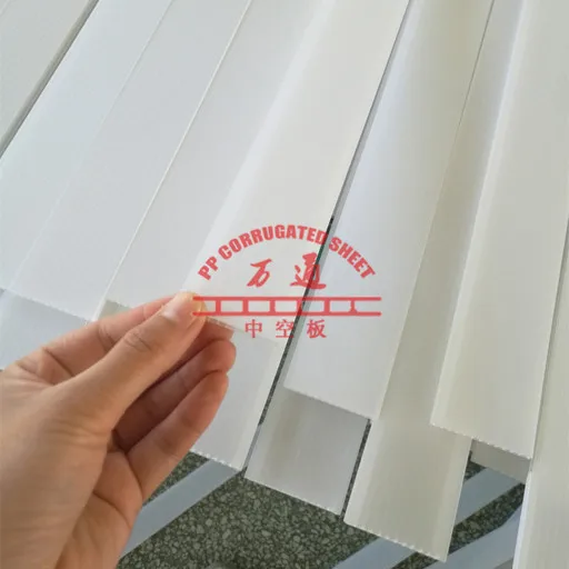 correx template sheets_2.jpg