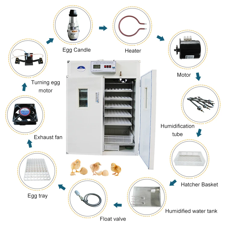 880 egg incubator-41.jpg