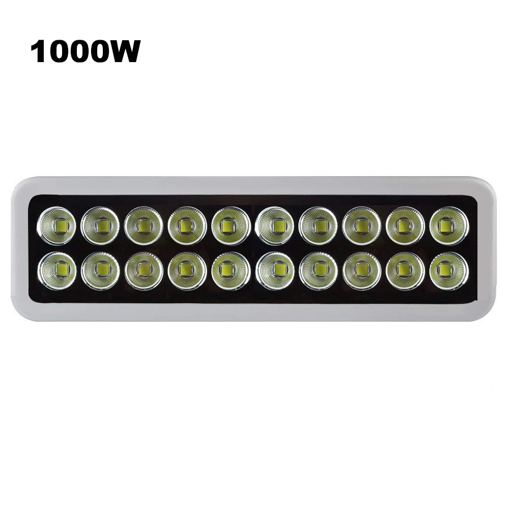 1000W01.jpg