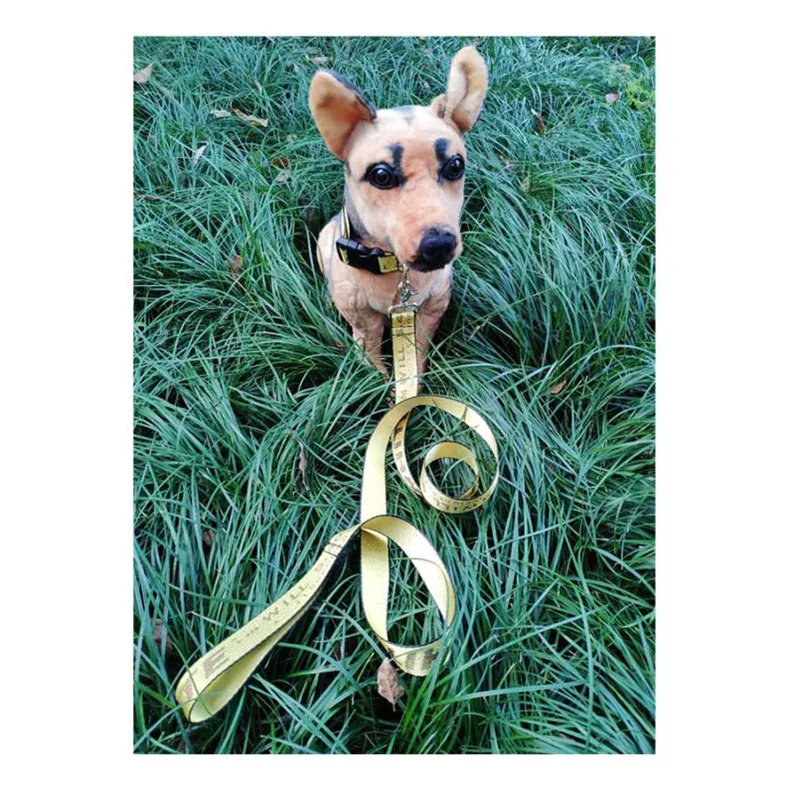 

Dog Leash Collar Rope,5 Pieces, 8 colors