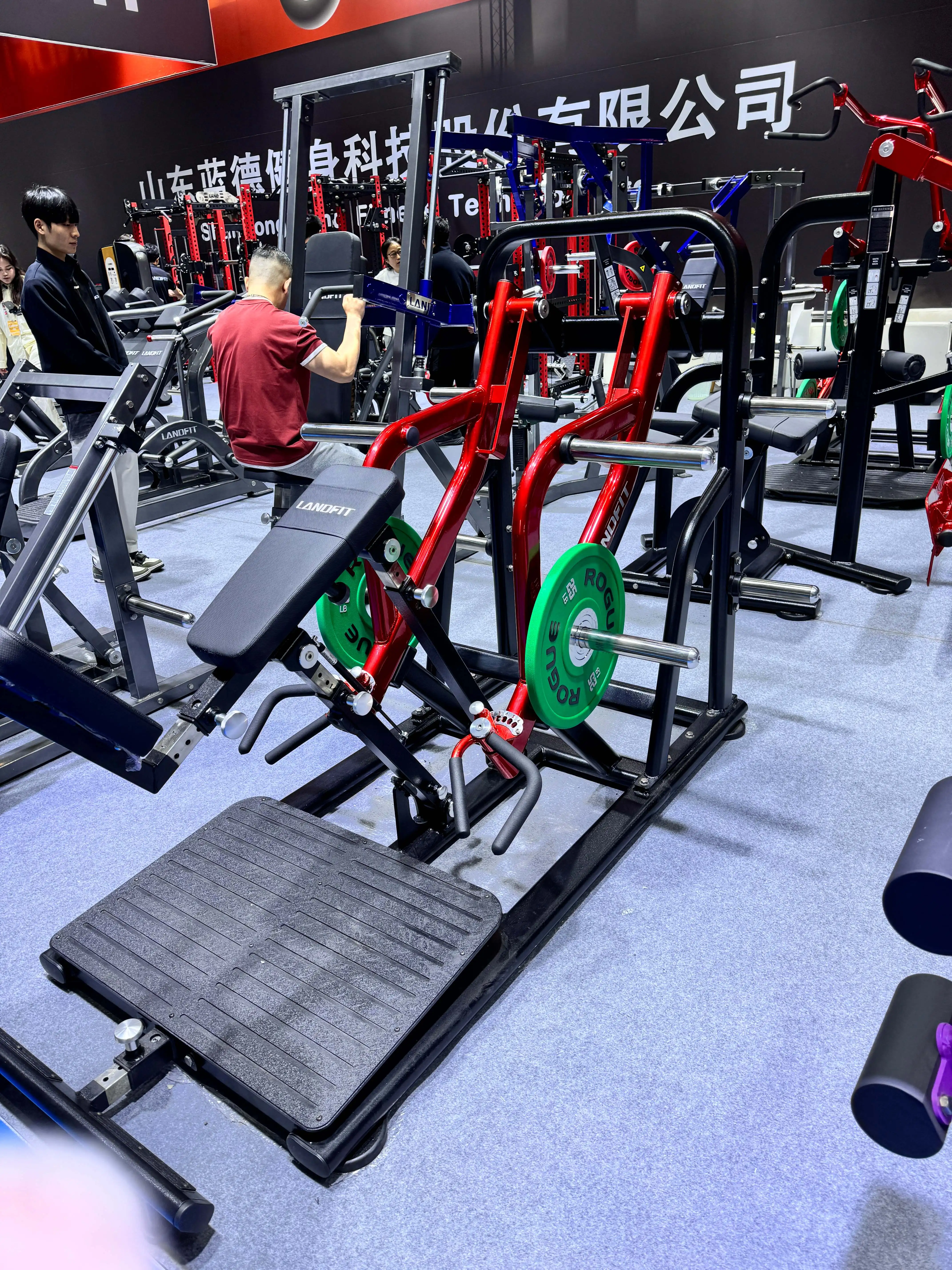 Prone Row Machine LD-4016 Prone Row Machine Commercial Gym Equipment for Back & Lat ...