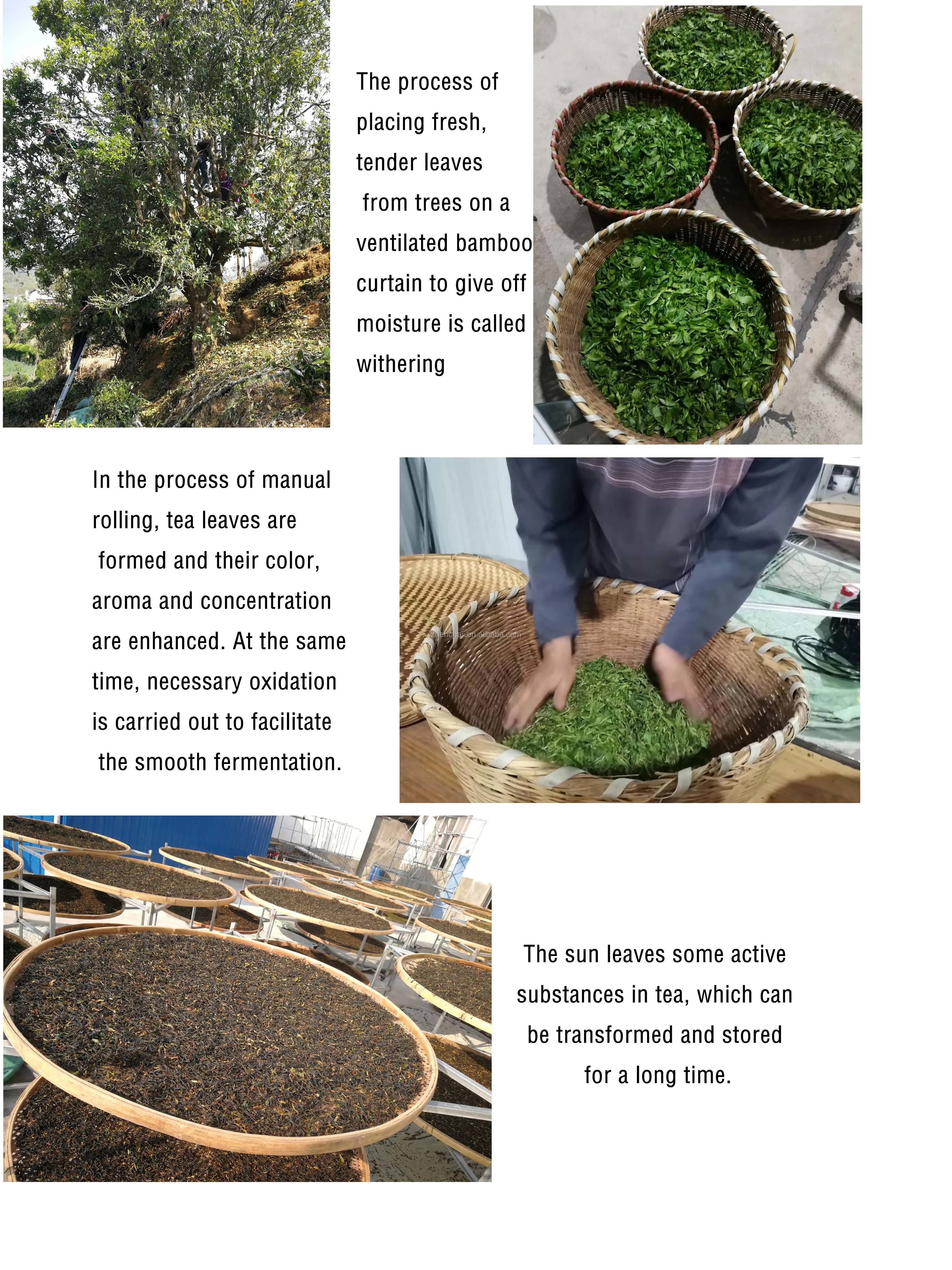 1000g Wholesale factory supplied healthy organic yunnan black tea - 4uTea | 4uTea.com