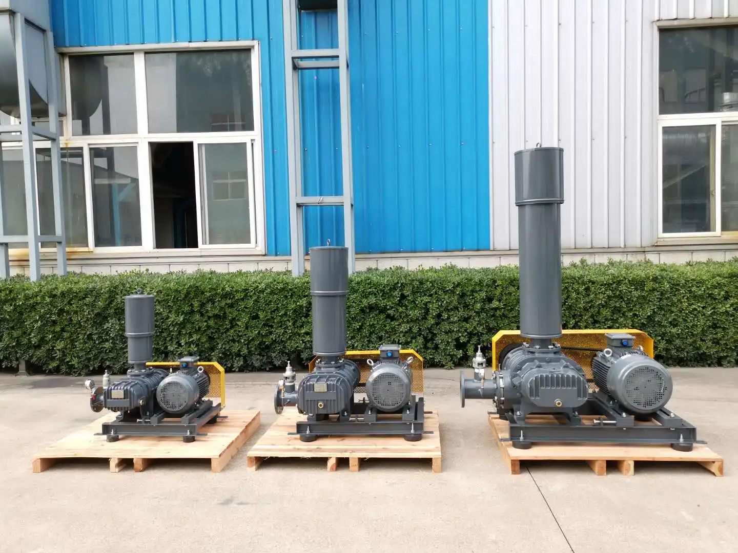 Roots Blower, 5hp, 10hp/20hp - detail 6