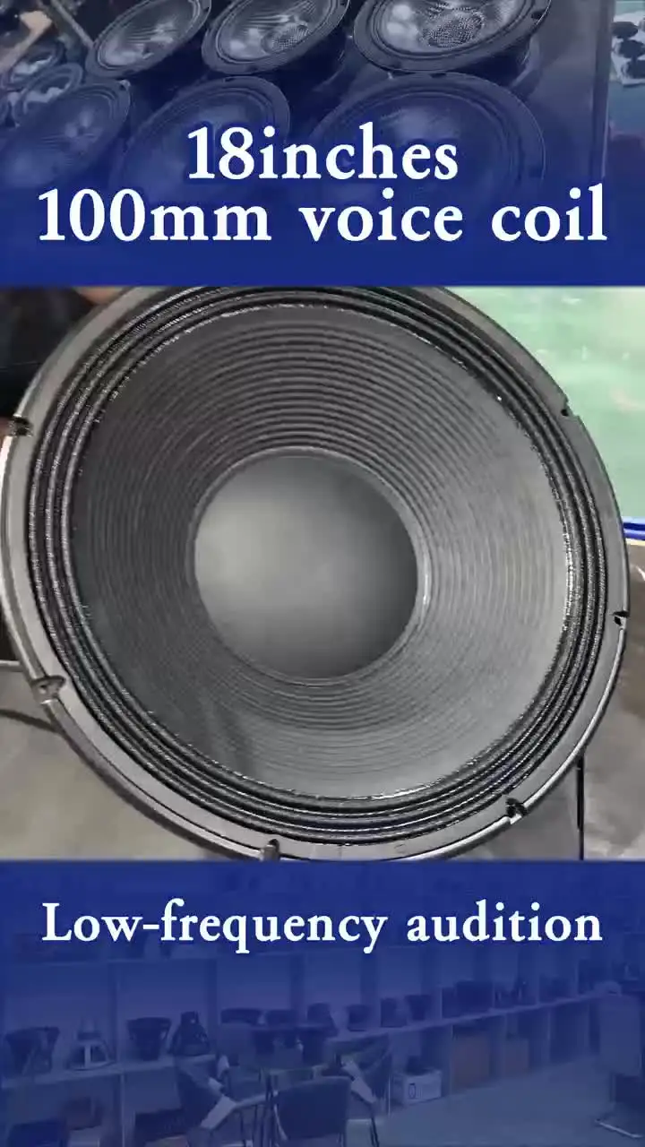 Huge 21 Inch Subwoofer - 3000W RMS for Outdoor Performance