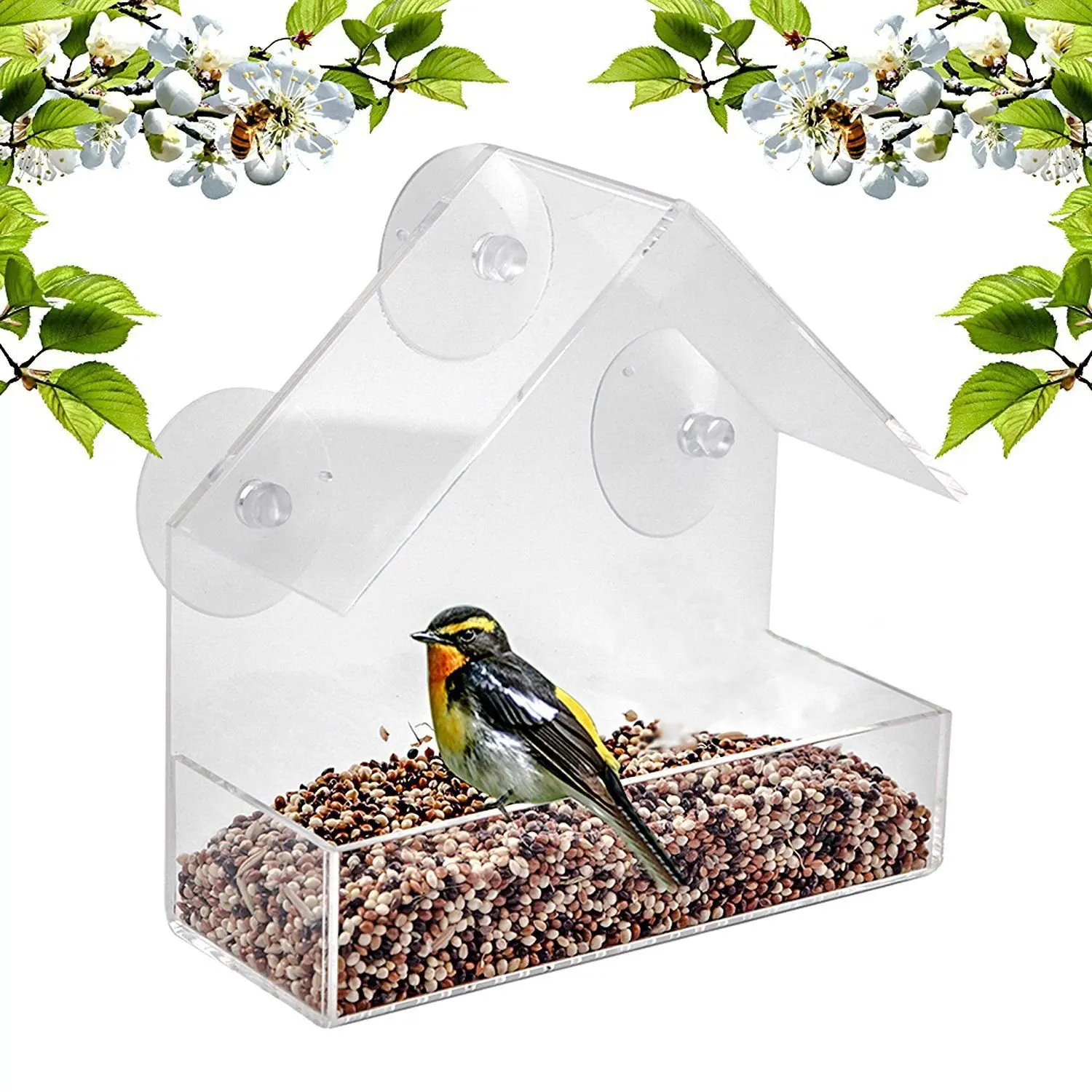 bird feeder (3).jpg