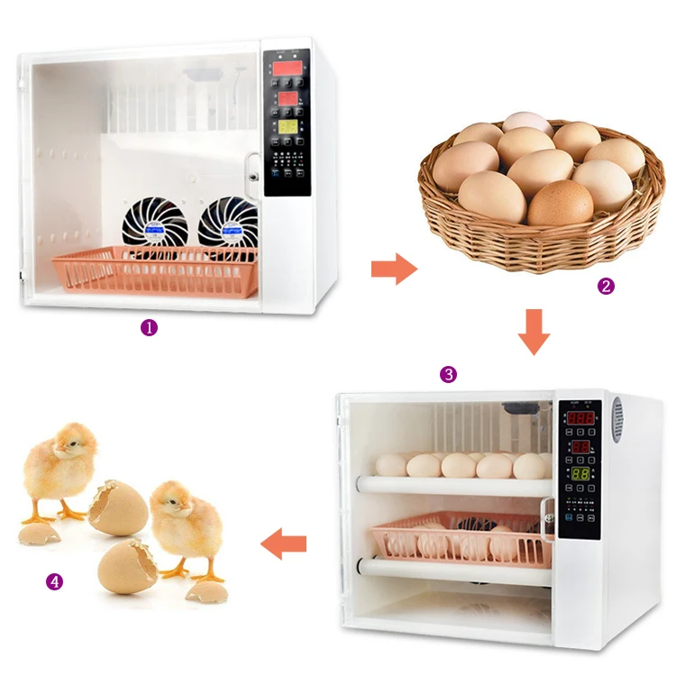 60egg incubator-27.jpg