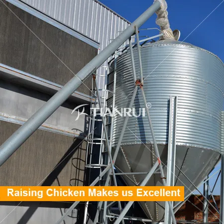 feeder system 2 .jpg