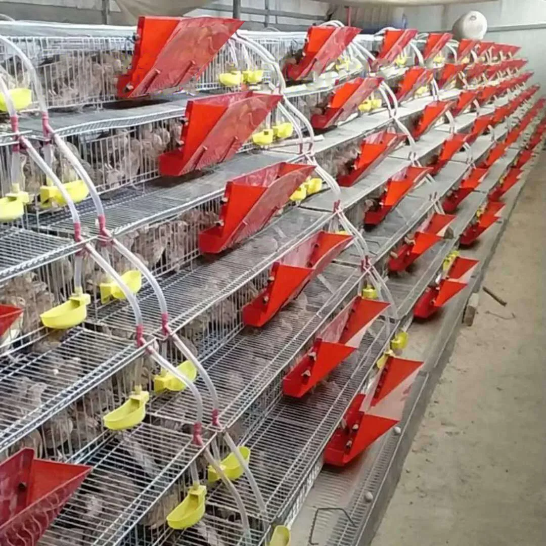 Plastic Automatic Quail Cage Feeder Trough Bird Quail Feeder Buy