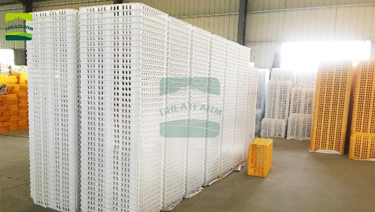Transporting live chickens transport chicken cage poultry transport crates uk