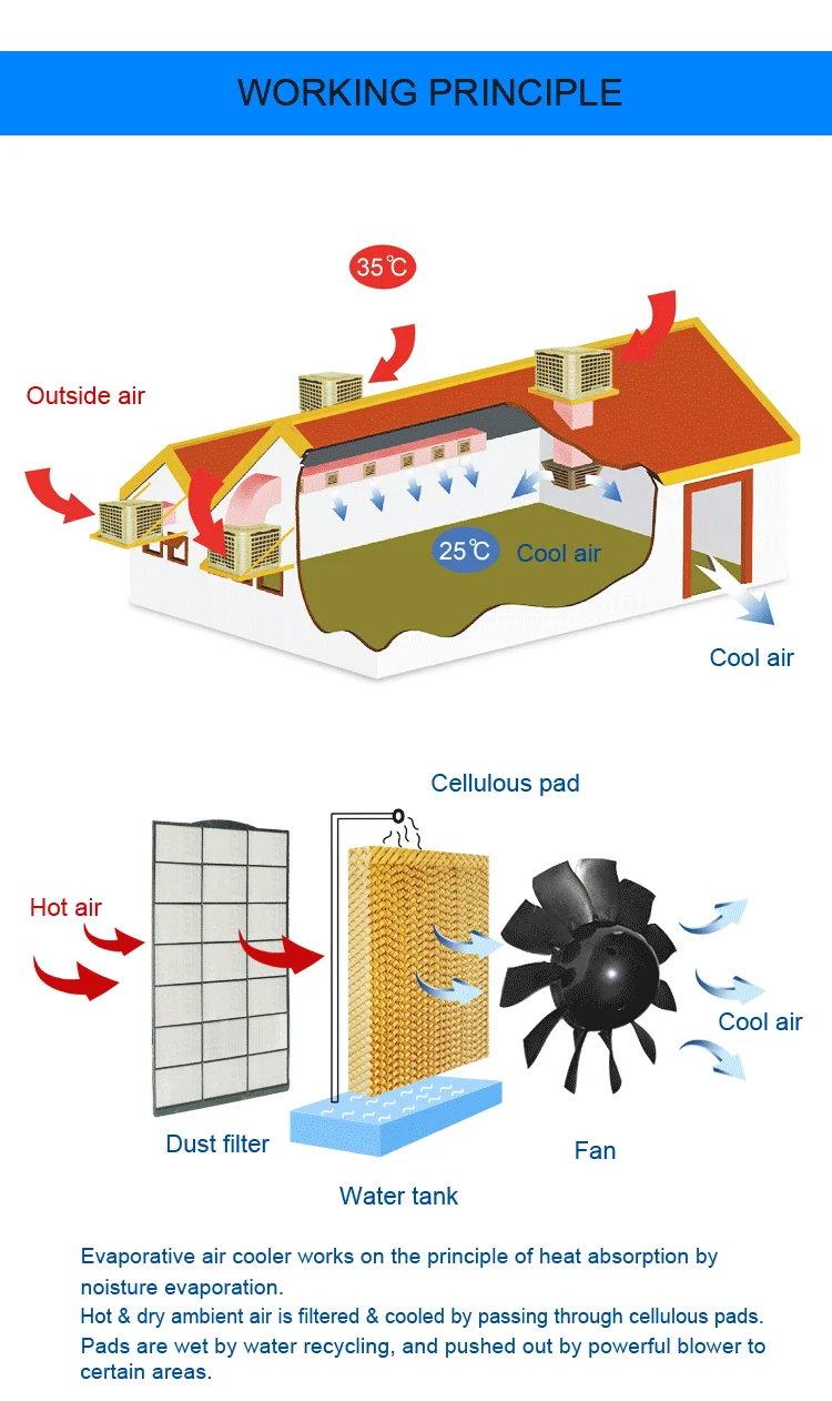 Down Discharge evaporative air cooler swamp cooler water air conditioning