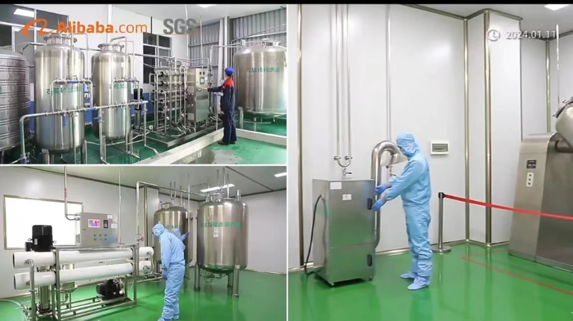 Fungal Fermentation Lactase Enzyme Lactasephlorizin Hydrolase Beta