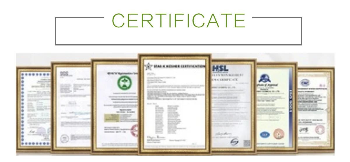 certificate.png
