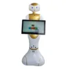 Regional Administrative Office Service Robot for Commercial Sale Open API with Second Programmning Robot