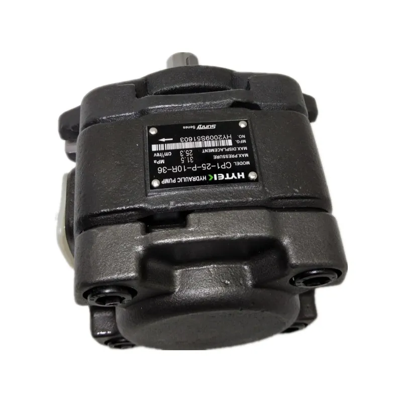 Sunny Cp1 Series Hydraulic Injection Moulding Machine Gear Pump Cp1