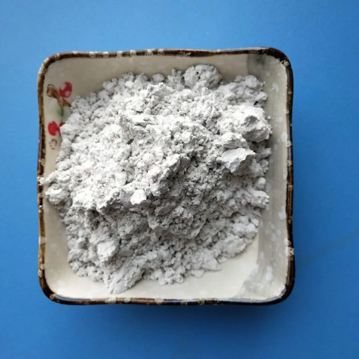 
diatomite absorbent manufacturer of diatomaceous earth 