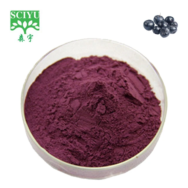 Natural Bilberry Extract,Gmp Kosher Biberry Bilberry