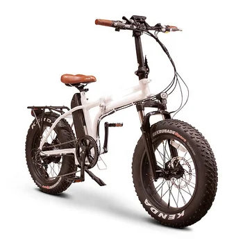 folding electric bicycle