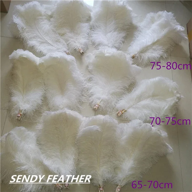 Wholesale Feather Suppliers South Africa Festival Large Decor Feather