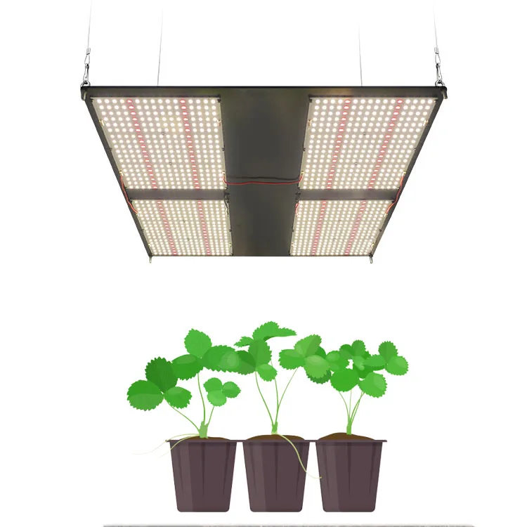2020 Grow lights Amazon Recommended High Power AGLEX 480W Indoor Full Spectrum COB LED Grow Ligh FOMEX-PLUS-V2-480H-4