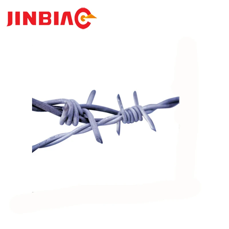 barbed wire11.jpg
