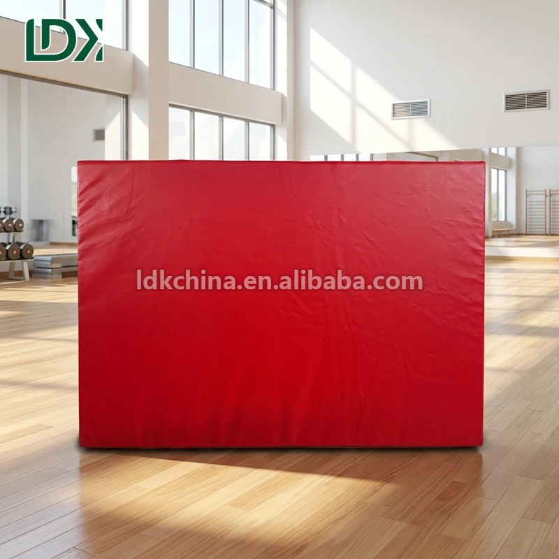 Wholesale Anti-slip Gymnastics Landing Mat Standard School Exercise Safety Crash Padding for Student Sports Programs