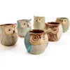 2.5 Inch Owl Pot Ceramic Flowing Glaze Base Serial Set Succulent Plant Pot 6 in Set