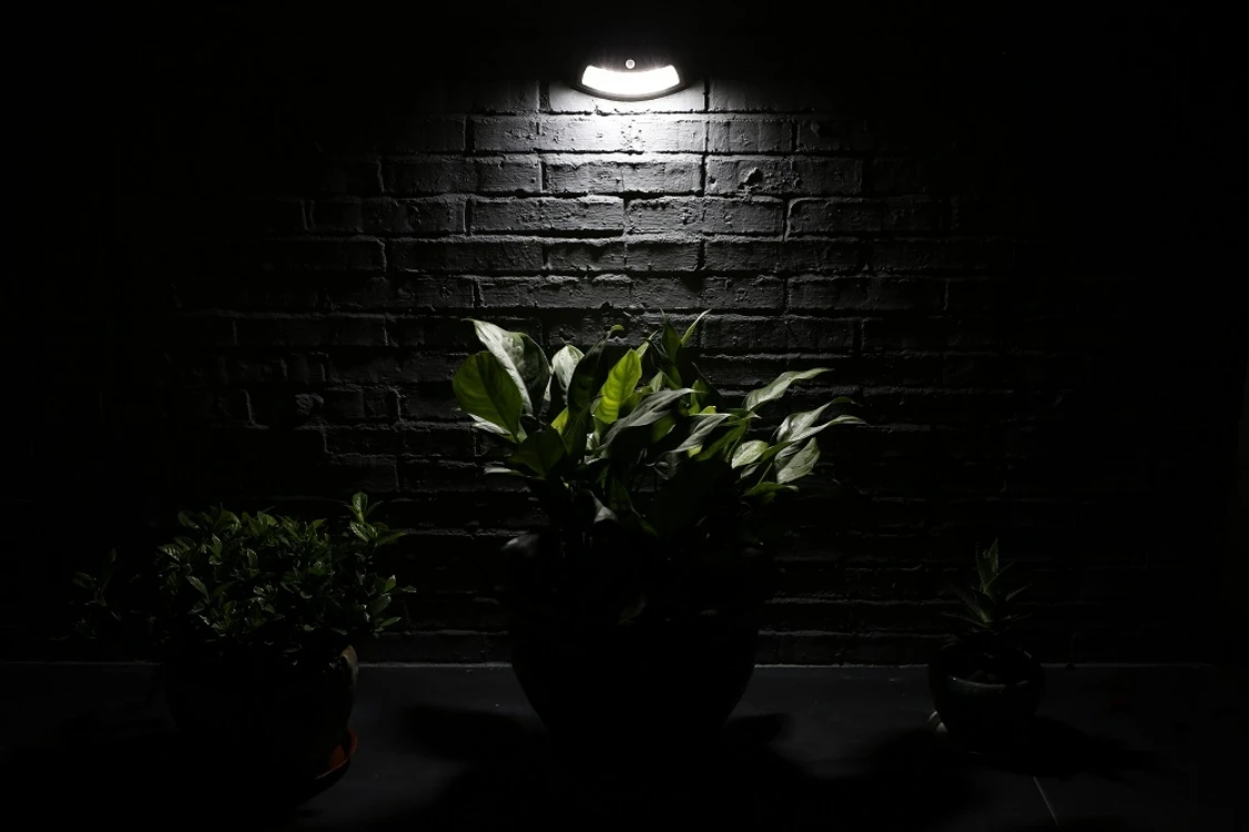 _P2A3967.jpg