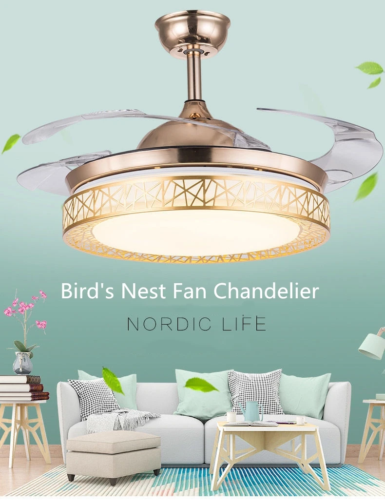 Exhale 3 Warranty Anemoi Bladeless No Leaf Power Saving Bl Dc Led Gold