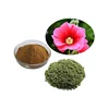 Best Selling Althaeae Officinalis Extract/Marshmallow Leaf extract powder