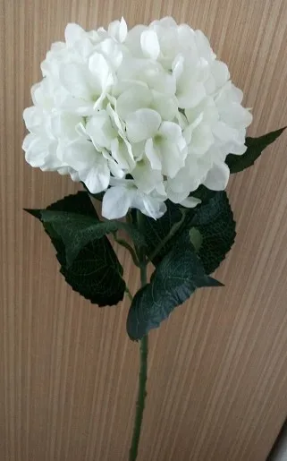 类型真丝人造白色绣球花尺寸高度: 80厘米,头花: 20 ~ 22厘米材料丝绸