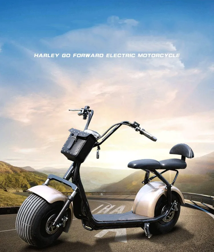 2x2 Electric Bike