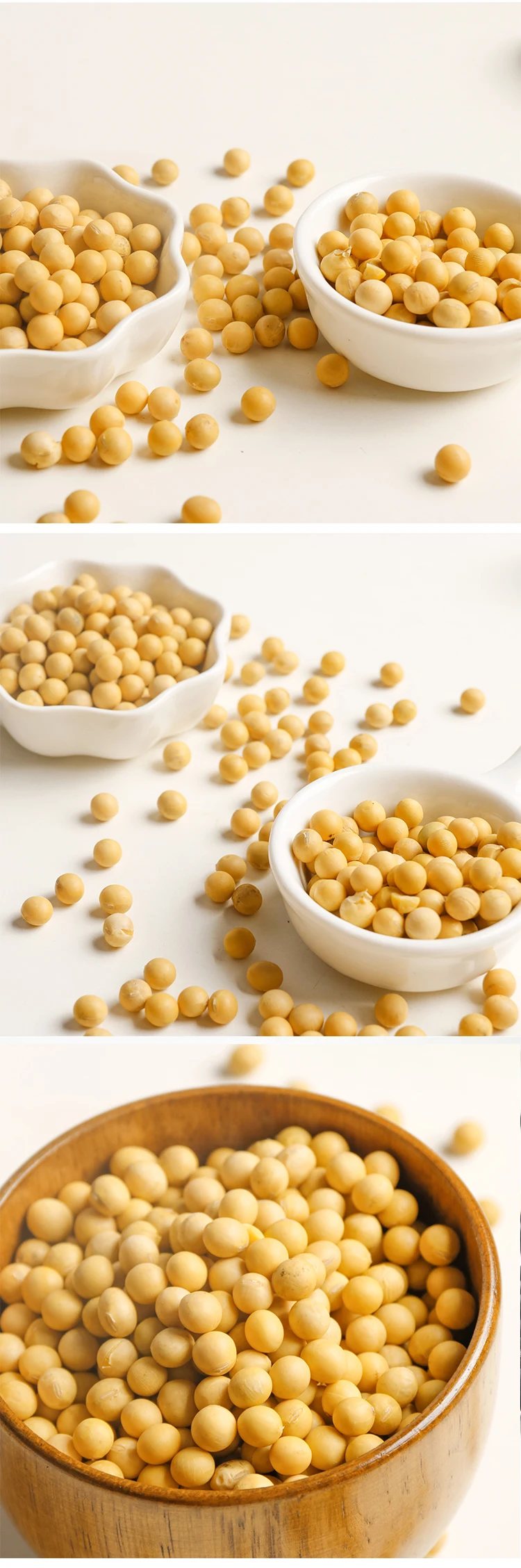 High Quality Non Gmo Soybean Soya Beans For Oil Plant